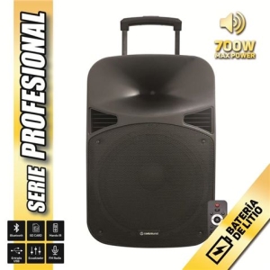 REACONDICIONADO ALTAVOZ AUTOAMPLIFICADO 15 700W BATERIA PRO COOLSOUND"