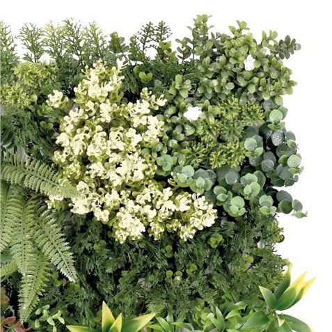 JARDIN VERTICAL 50X50CM SERIE ECOVIS SUNGARDEN - Imagen 3