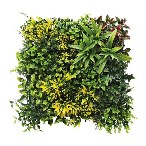 JARDIN VERTICAL 50X50CM SERIE GREENWALL SUNGARDEN - Imagen 2