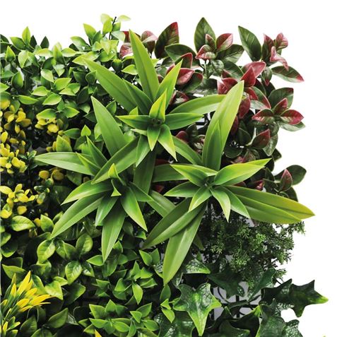 JARDIN VERTICAL 50X50CM SERIE GREENWALL SUNGARDEN - Imagen 3