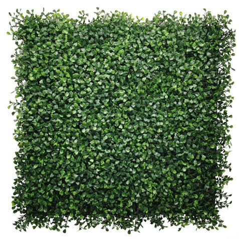 JARDIN VERTICAL 50X50CM SERIE FLORARIA SUNGARDEN - Imagen 2