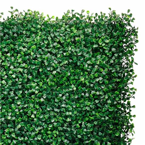 JARDIN VERTICAL 50X50CM SERIE FLORARIA SUNGARDEN - Imagen 3
