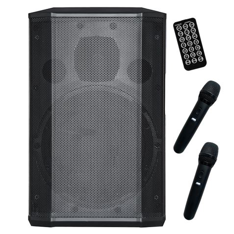 ALTAVOZ AUTOAMPLIFICADO PRO600 8" 500W CON BATERÍA + 2 MICROS SERIE PRO