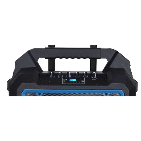 ALTAVOZ AUTOAMPLIFICADO PRO300 10" 300W CON BATERIA + MICRO SERIE PRO COOLS - Imagen 3